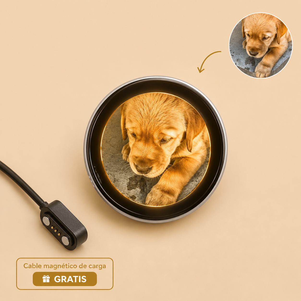 PawLight™ | Pin digital