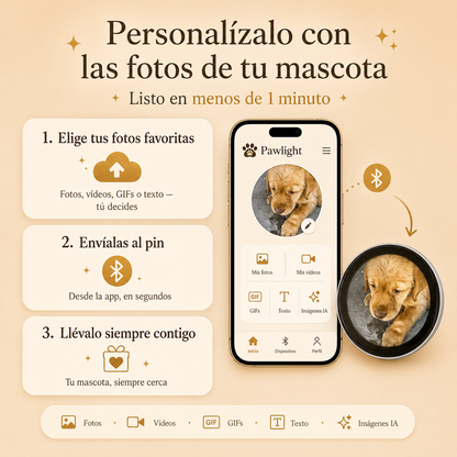 PawLight™ | Pin digital