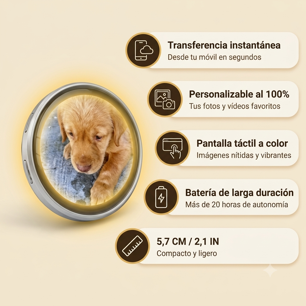 PawLight™ | Pin digital